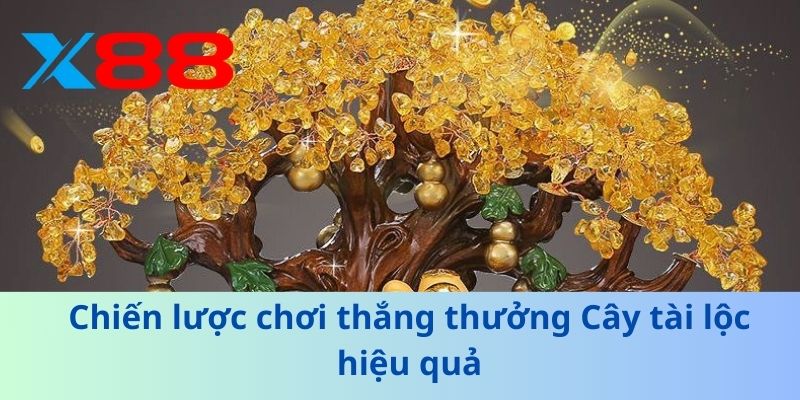 Chiến lược chơi thắng thưởng Cây tài lộc hiệu quả